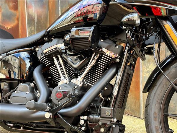 2025 Harley-Davidson Softail