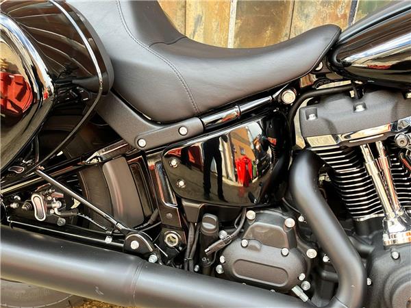 2025 Harley-Davidson Softail
