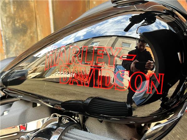 2025 Harley-Davidson Softail