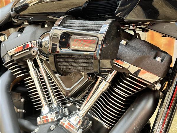 2025 Harley-Davidson Softail