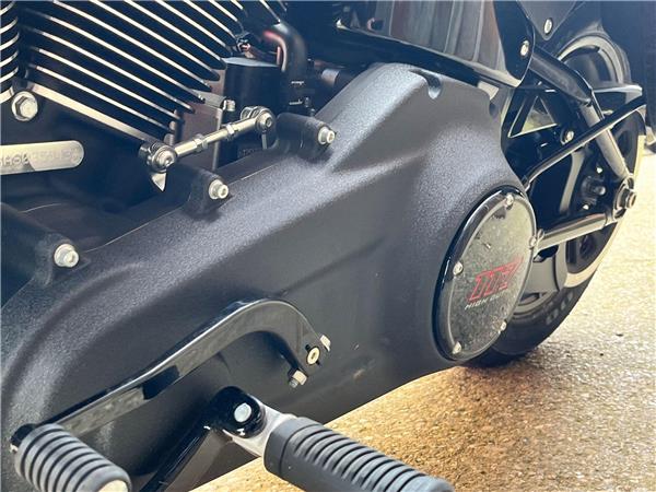 2025 Harley-Davidson Softail