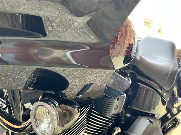 2025 Harley-Davidson Softail