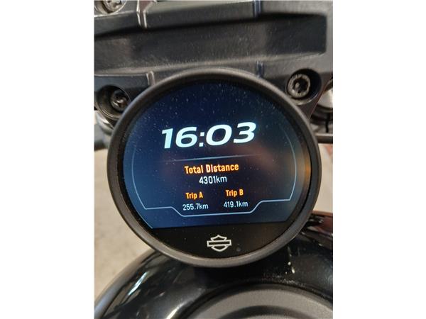 2024 HARLEY-DAVIDSON NIGHTSTER