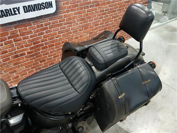 2019 HARLEY-DAVIDSON STREET BOB