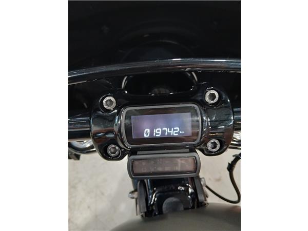 2019 HARLEY-DAVIDSON STREET BOB