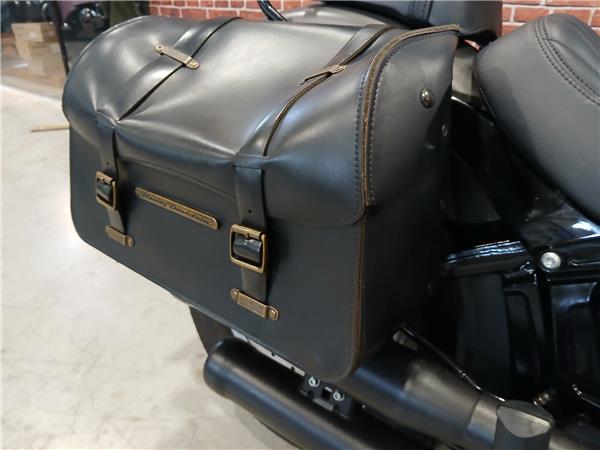 2019 HARLEY-DAVIDSON STREET BOB