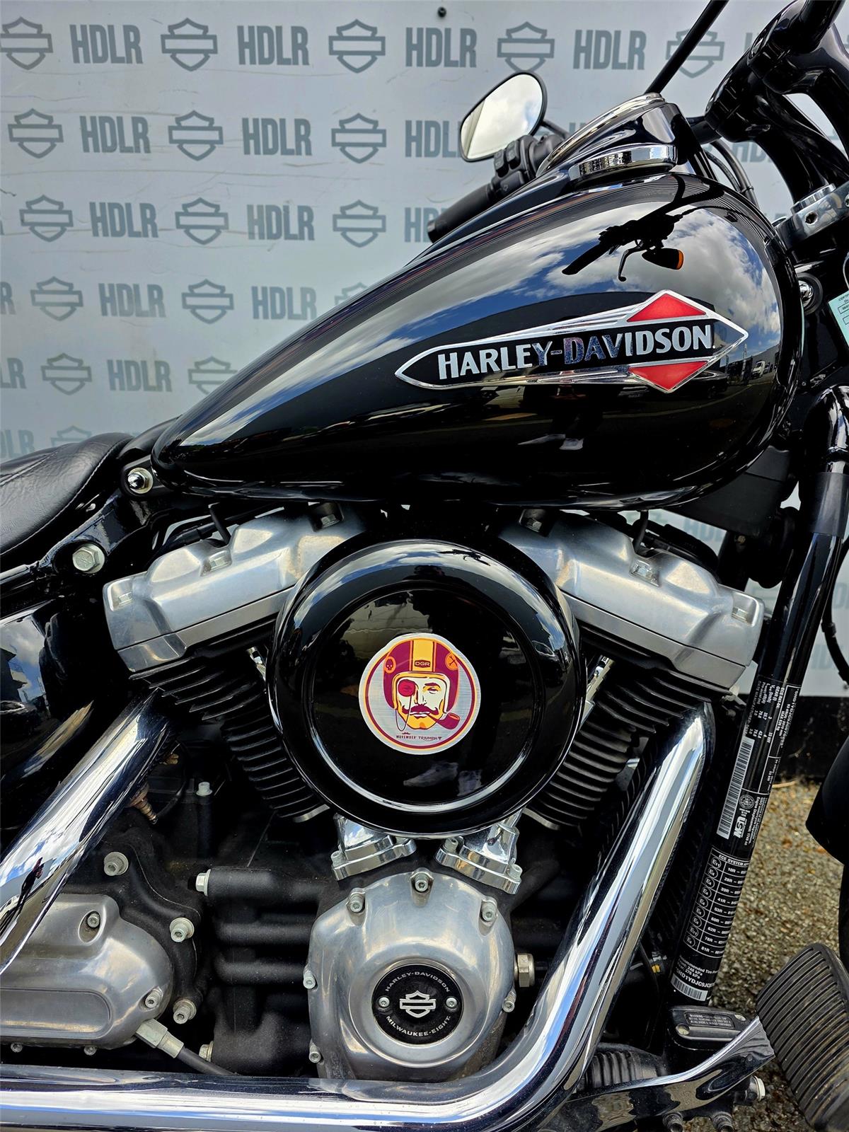 2018 HARLEY-DAVIDSON SLIM