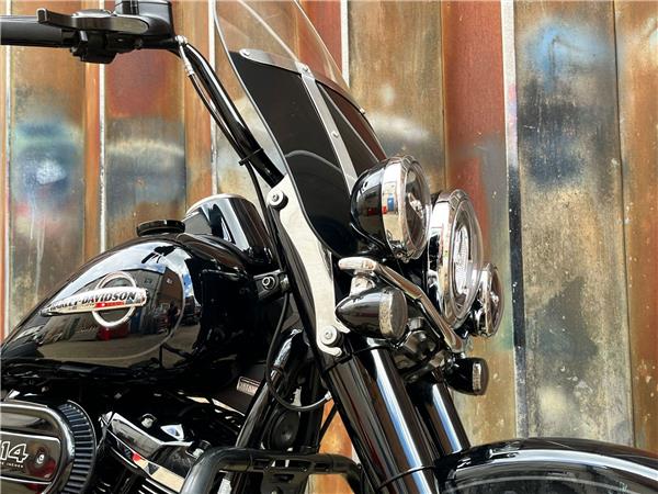 2019 Harley-Davidson Softail