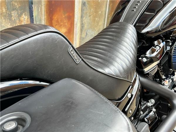 2019 Harley-Davidson Softail