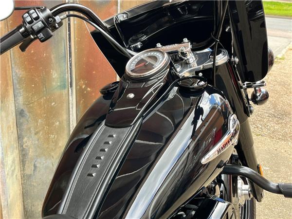 2019 Harley-Davidson Softail