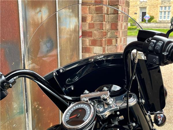 2019 Harley-Davidson Softail