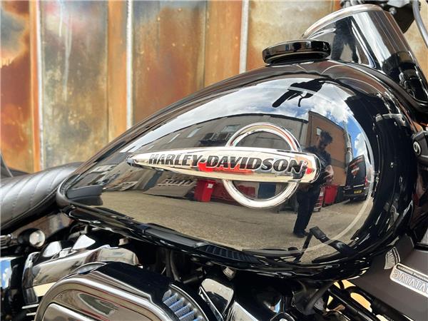 2019 Harley-Davidson Softail