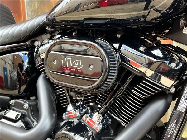 2019 Harley-Davidson Softail
