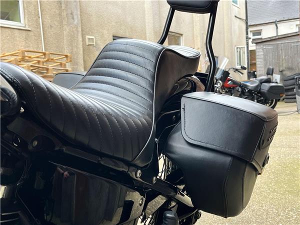 2019 Harley-Davidson Softail