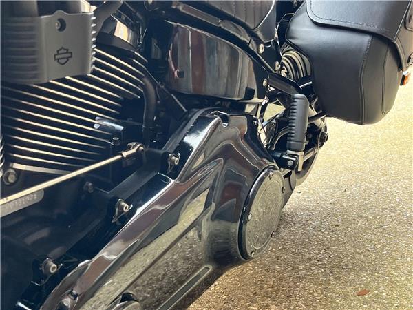 2019 Harley-Davidson Softail