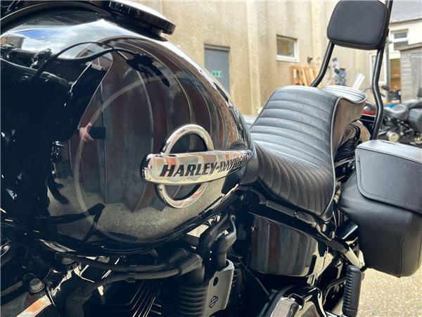 2019 Harley-Davidson Softail