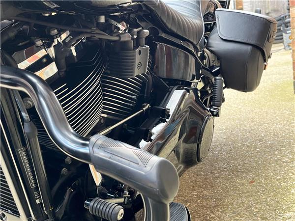 2019 Harley-Davidson Softail