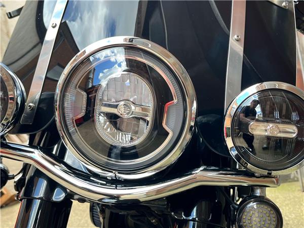2019 Harley-Davidson Softail