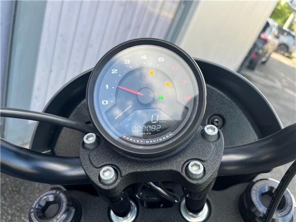 2022 HARLEY-DAVIDSON SOFTAIL FXLRS LOW RIDER S