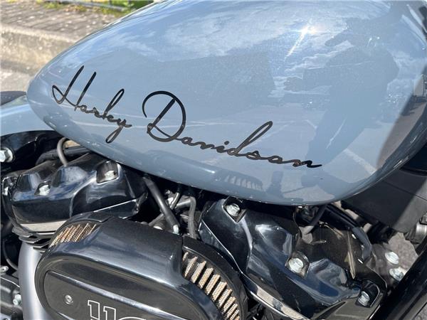 2019 HARLEY-DAVIDSON SOFTAIL FXBRS BREAKOUT 114