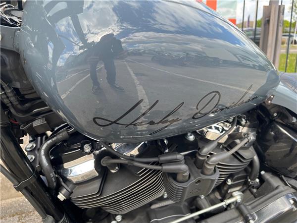 2019 HARLEY-DAVIDSON SOFTAIL FXBRS BREAKOUT 114
