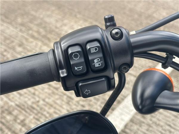 2017 HARLEY-DAVIDSON SPORTSTER XL1200X FORTY-EIGHT