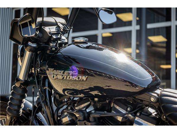 Harley-Davidson STREET BOB FXBB - kurzes Heck- Taschen
