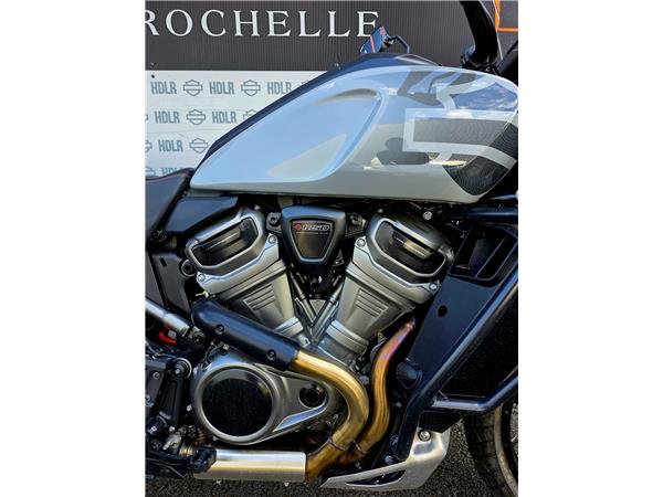 2025 HARLEY-DAVIDSON PAN AMERICA