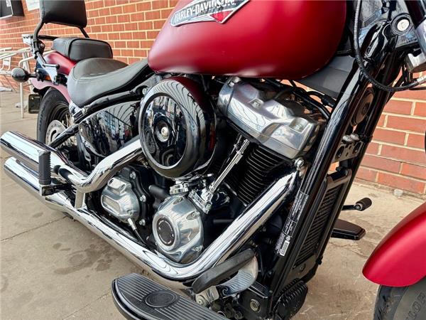 2019 HARLEY-DAVIDSON SOFTAIL FLS SLIM