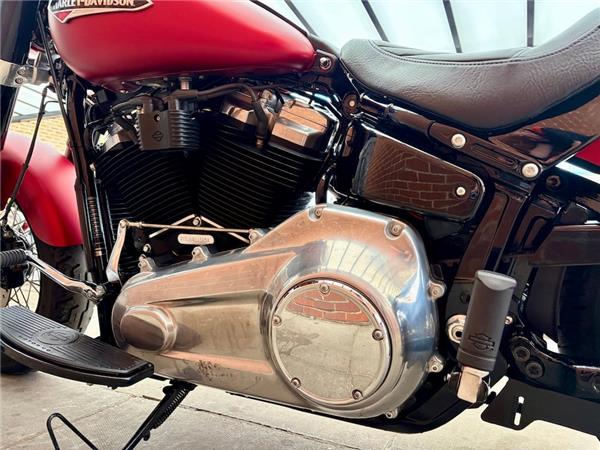 2019 HARLEY-DAVIDSON SOFTAIL FLS SLIM