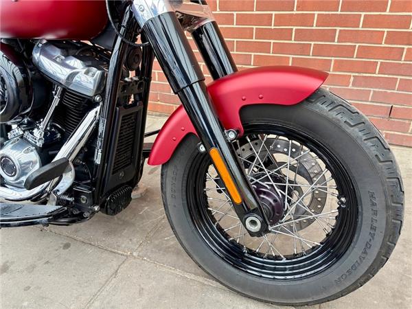 2019 HARLEY-DAVIDSON SOFTAIL FLS SLIM
