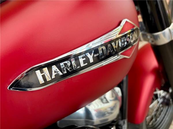 2019 HARLEY-DAVIDSON SOFTAIL FLS SLIM
