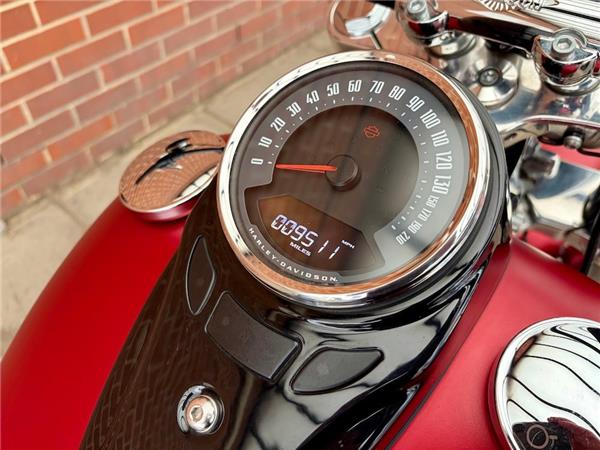 2019 HARLEY-DAVIDSON SOFTAIL FLS SLIM