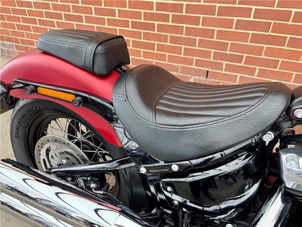 2019 HARLEY-DAVIDSON SOFTAIL FLS SLIM