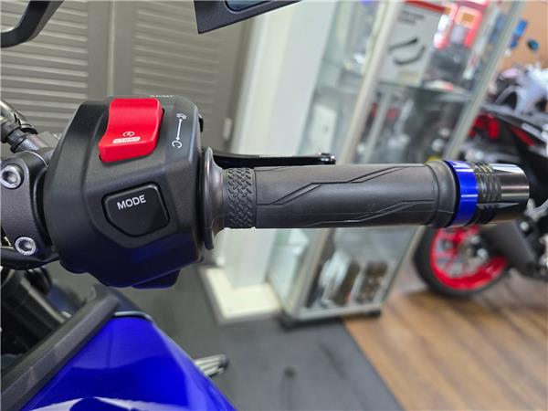 2024 YAMAHA MT-09 Y-AMT