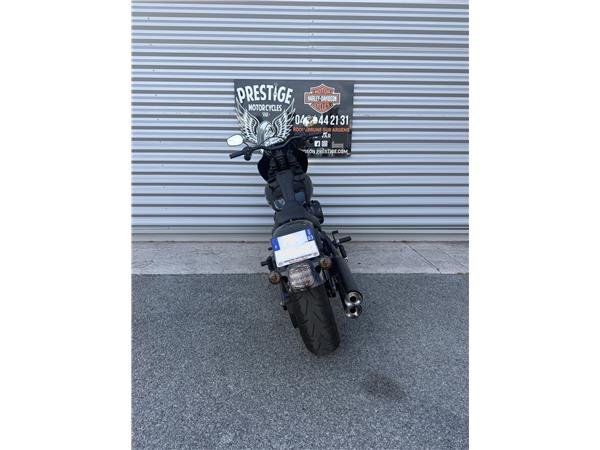 2019 HARLEY-DAVIDSON STREET BOB