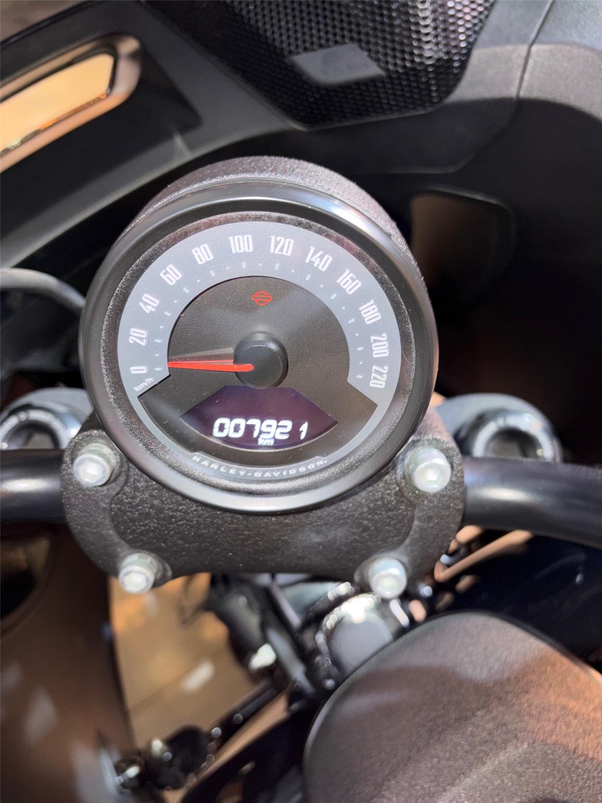 2025 HARLEY-DAVIDSON LOW RIDER