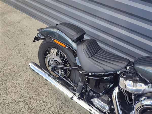 2025 HARLEY-DAVIDSON STREET BOB
