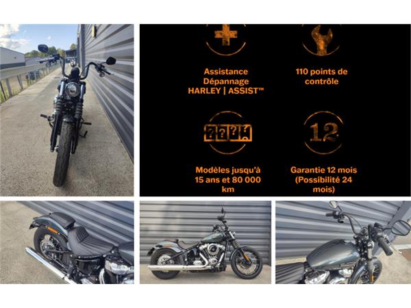 2025 HARLEY-DAVIDSON STREET BOB
