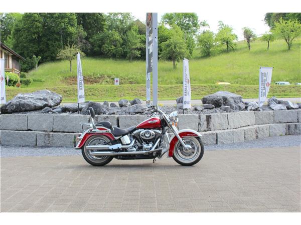 2013 harley-davidson FLSTN Softail Deluxe ABS