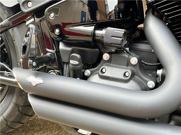 2024 Harley-Davidson Softail