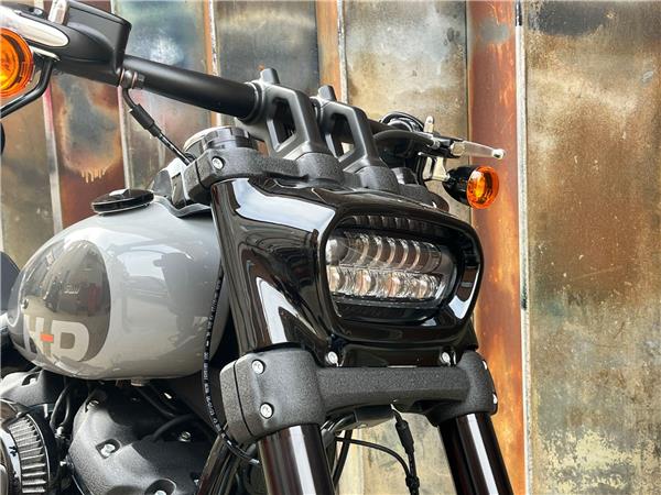 2024 Harley-Davidson Softail