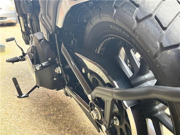 2024 Harley-Davidson Softail