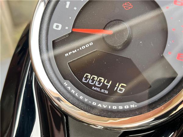 2024 Harley-Davidson Softail