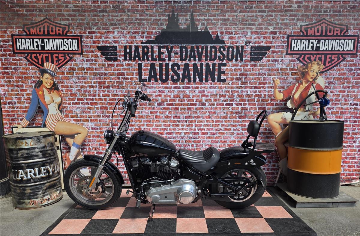 2023 harley-davidson FXST Softail Standard 107