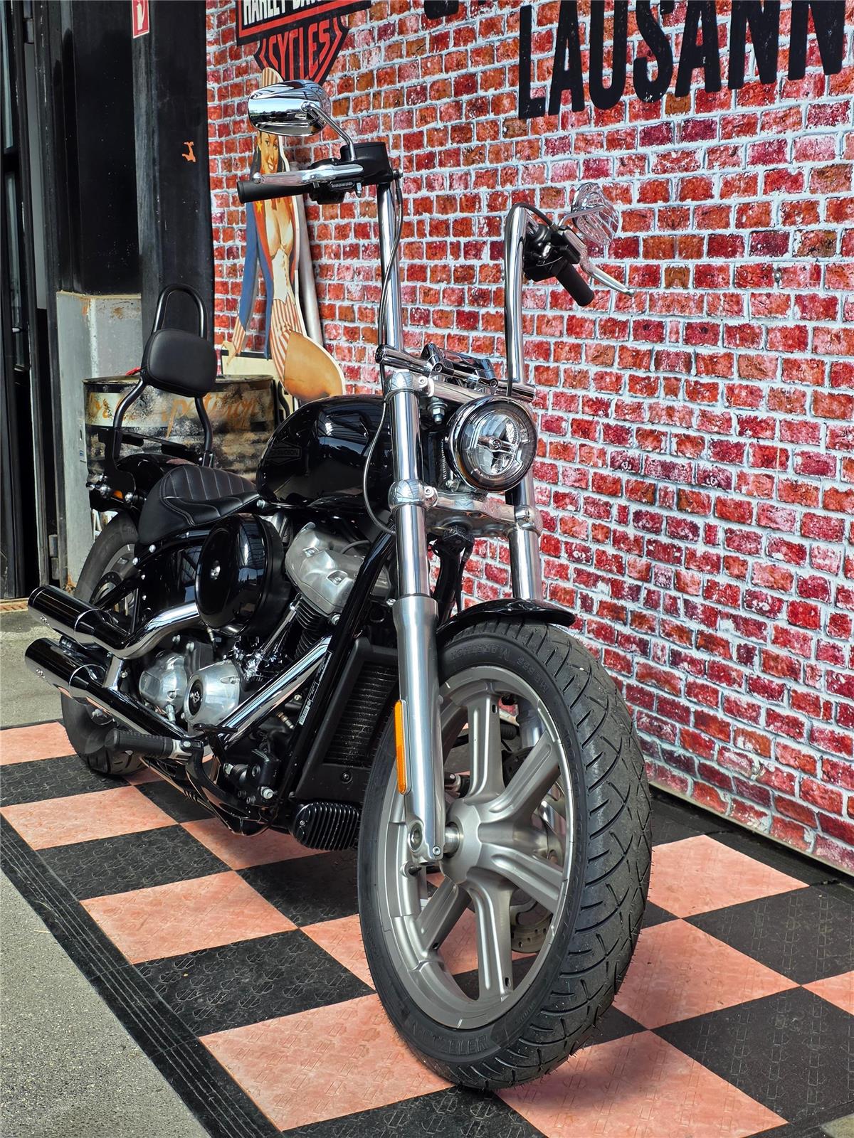 2023 harley-davidson FXST Softail Standard 107