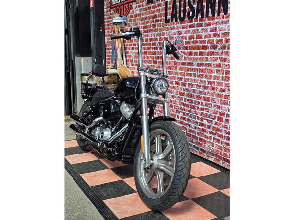 2023 harley-davidson FXST Softail Standard 107