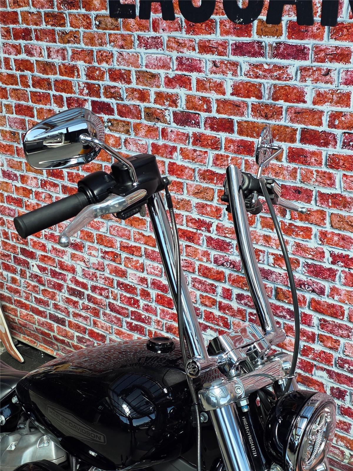 2023 harley-davidson FXST Softail Standard 107