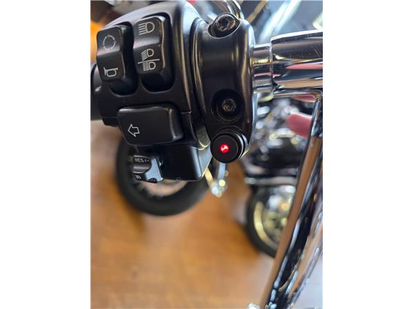 2023 harley-davidson FXST Softail Standard 107