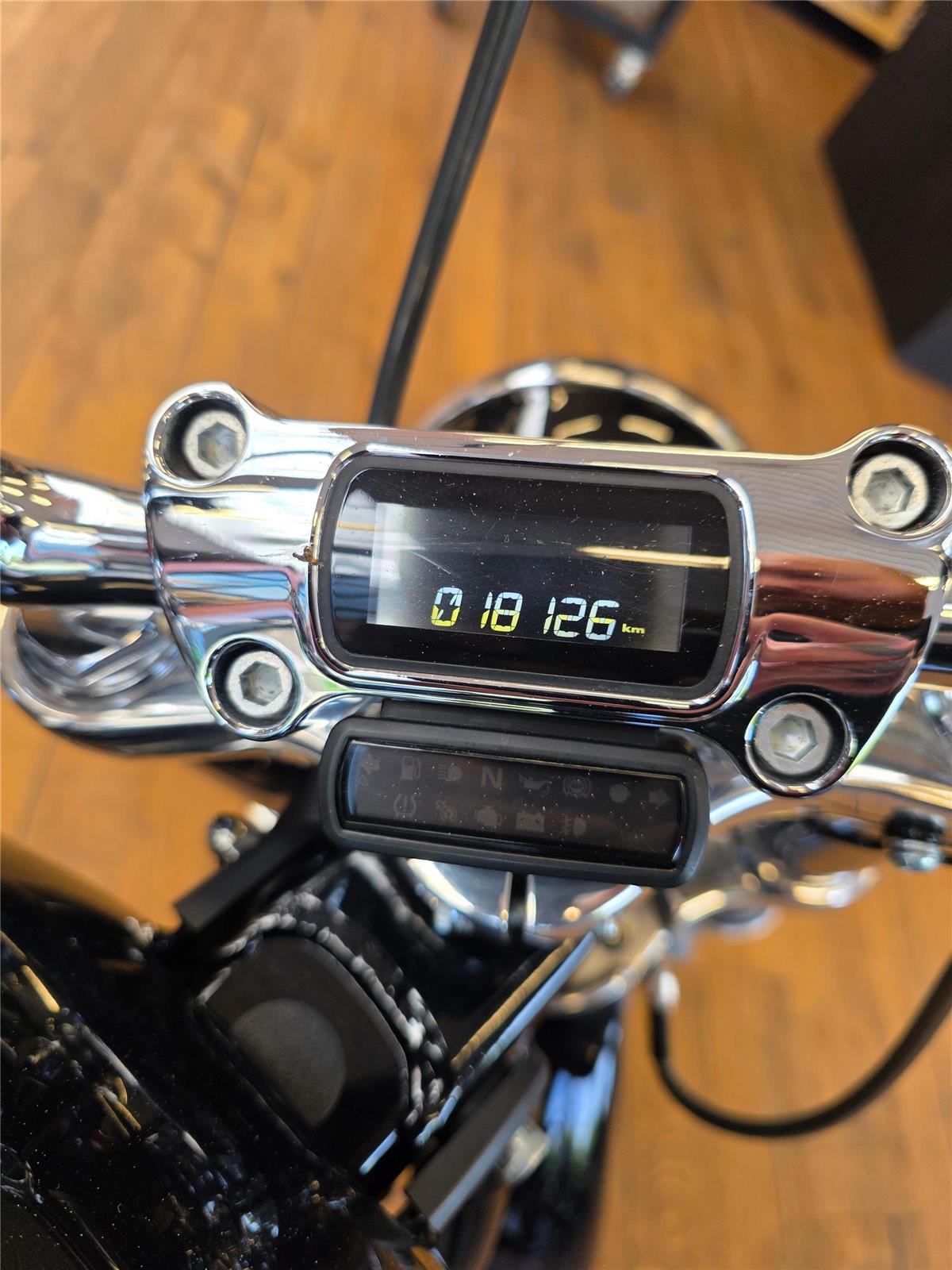 2023 harley-davidson FXST Softail Standard 107